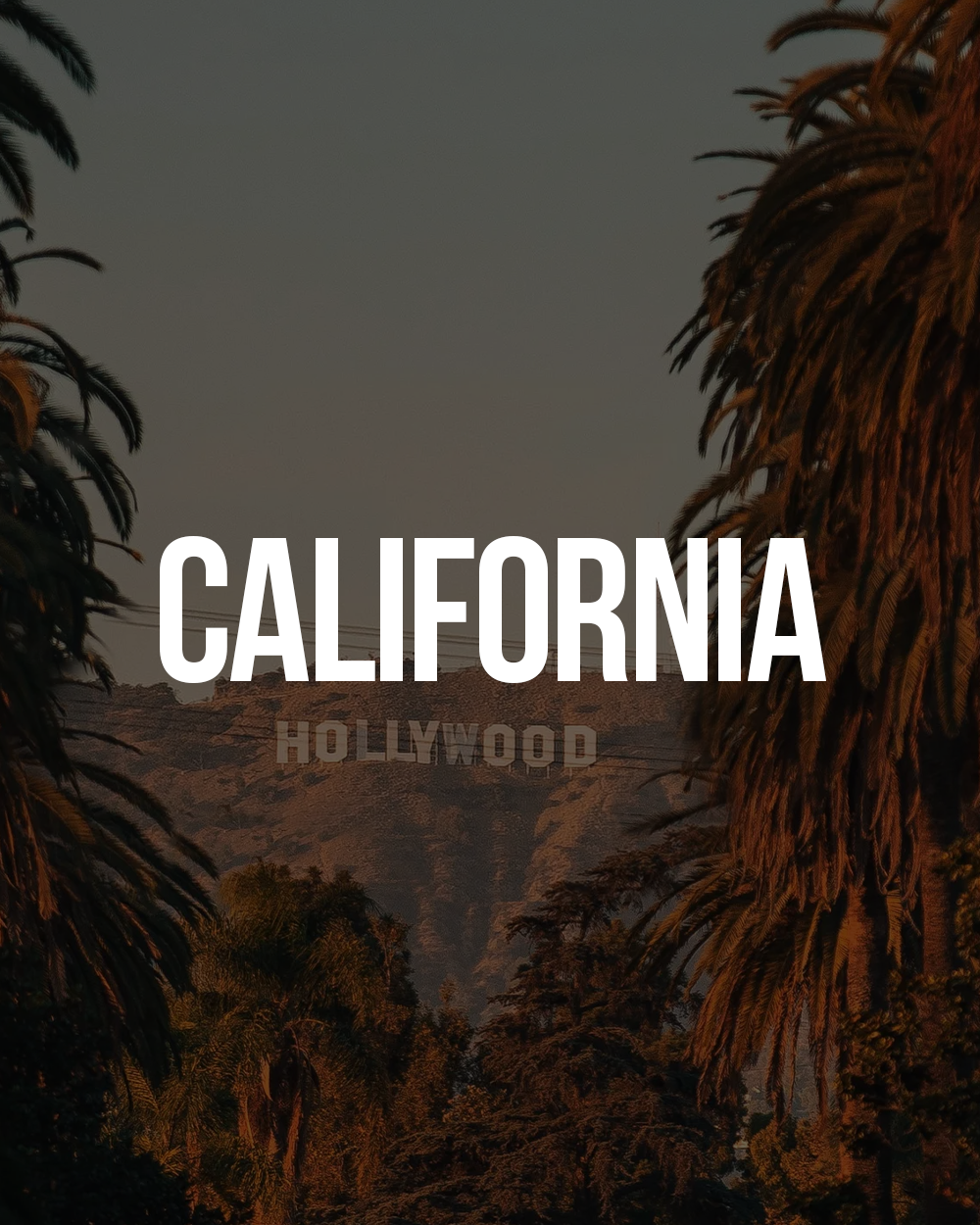 California Website Design Company